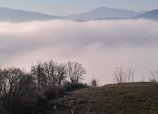 Oasi naturalistica del Carmine